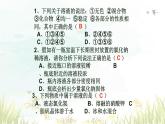 9.1溶液的形成课件---2023-2024学年九年级化学人教版下册