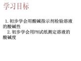 人教版化学九年级下册 第十单元实验活动七溶液酸碱性的检验课件