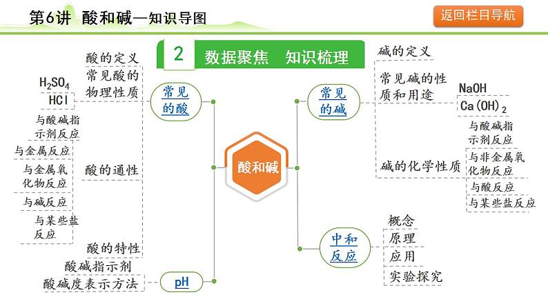 2024年中考化学精讲课件---第6讲 酸和碱第5页