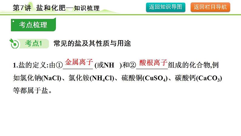 2024年中考化学精讲课件---第7讲  盐和化肥05