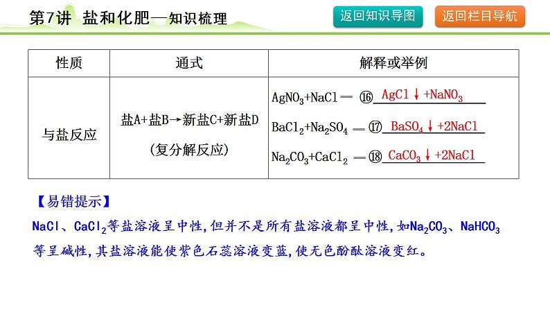 2024年中考化学精讲课件---第7讲  盐和化肥08