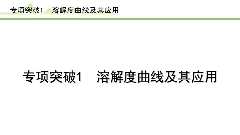 2024年中考化学精讲课件---专项突破1 溶解度曲线及其应用第1页