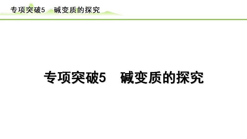 2024年中考化学精讲课件---专项突破5  碱变质的探究第1页