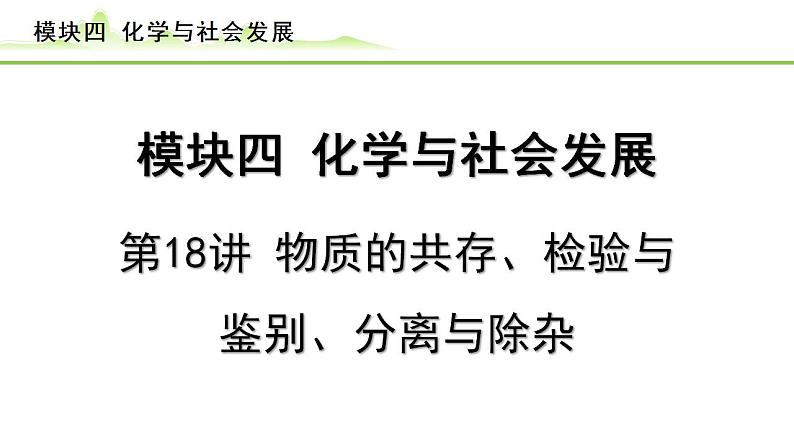 2024年中考化学精讲课件---第18讲  物质的共存、检验与除杂第1页