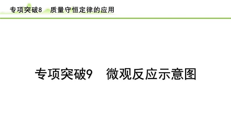 2024年中考化学精讲课件---专项突破9 微观反应示意图第1页