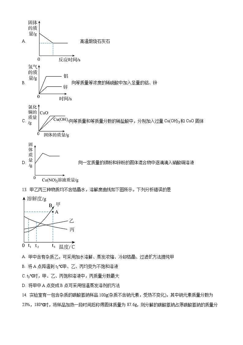 精品解析：河南省周口市沈丘县沈丘县博士学校2023-2024学年九年级下学期开学化学试题（原卷版）第3页