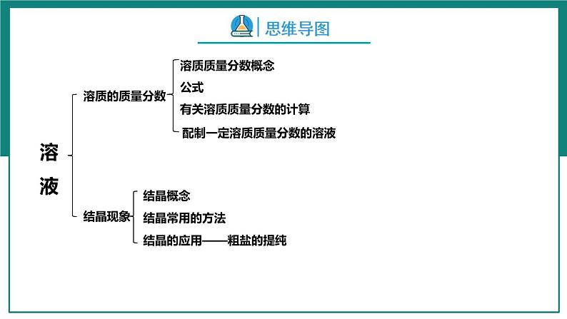 第九单元  溶液【考点串讲】-2024年中考化学一轮复习课件（人教版）第6页