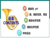 第十单元  酸和碱【考点串讲】-2024年中考化学一轮复习课件（人教版）