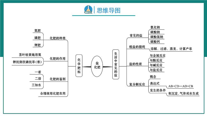 第十一单元  盐和化肥【考点串讲】-2024年中考化学一轮复习精品课件（人教版）第5页