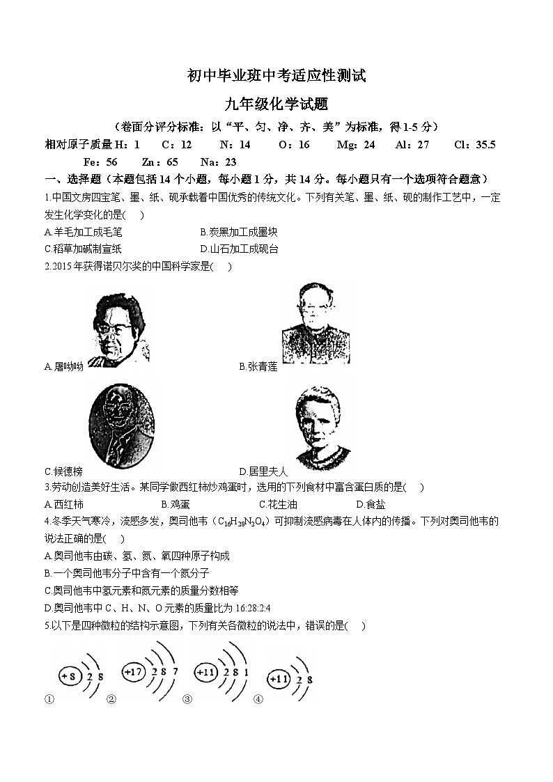 河南省安阳市林州市2023-2024学年九年级下学期开学考试化学试题01