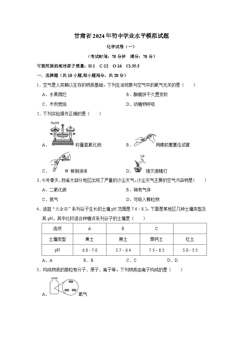 2024年甘肃省初中学业水平模拟化学试题(一)01