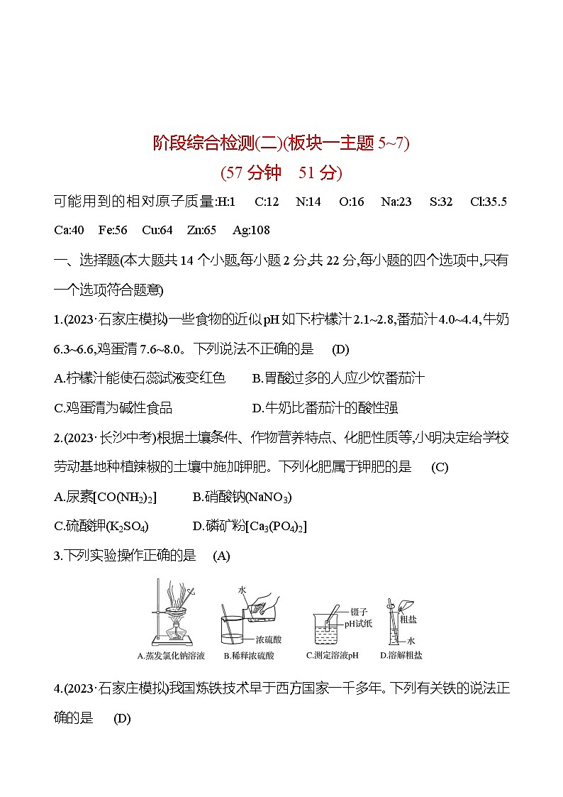 2023-2024 中考化学复习 阶段综合检测（二） 试卷01