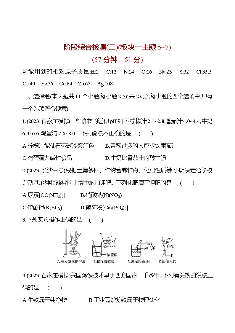 2023-2024 中考化学复习 阶段综合检测（二） 试卷01