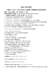 江西省宜春市丰城市第九中学日新班2023-2024学年九年级上学期期末考试化学试题()