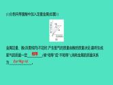 2023-2024 中考化学复习 微专题二　金属与酸反应的曲线分析 课件