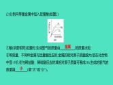 2023-2024 中考化学复习 微专题二　金属与酸反应的曲线分析 课件