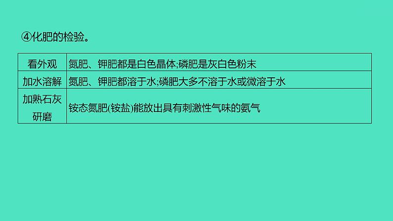 2024河北中考化学复习 板块五 主题3　物质的检验、鉴别与除杂(2~4分) 课件08