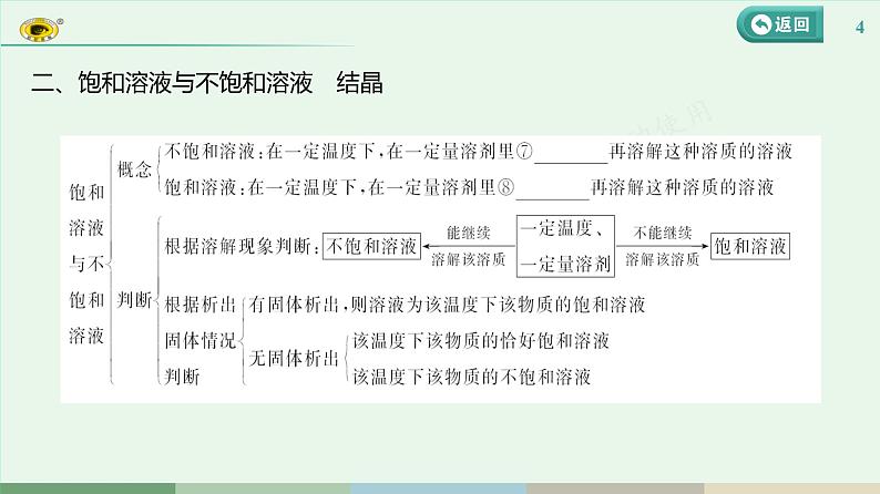 2024河北中考化学复习 板块一 主题4　常见的溶液(2~5.5分) 课件第4页