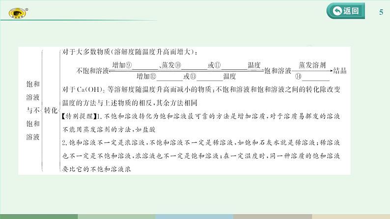 2024河北中考化学复习 板块一 主题4　常见的溶液(2~5.5分) 课件第5页