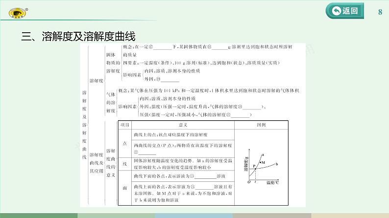 2024河北中考化学复习 板块一 主题4　常见的溶液(2~5.5分) 课件第8页