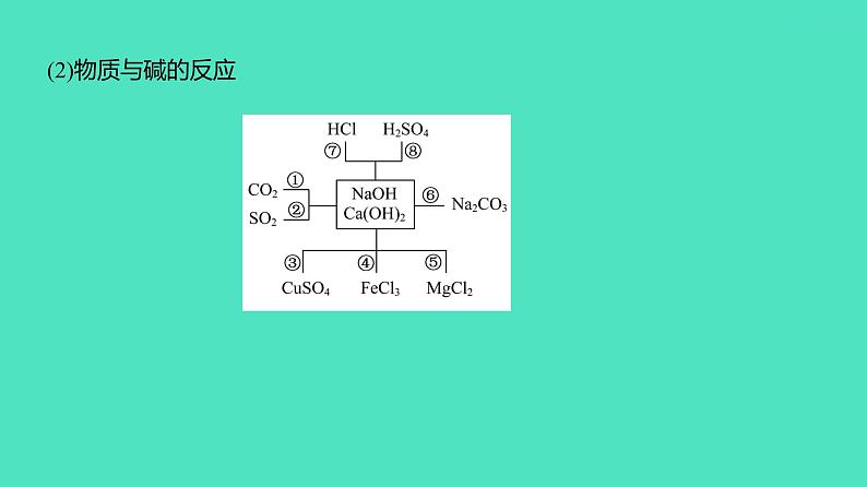 2024河北中考化学复习 板块一 主题6　酸和碱(2~11分) 课件05