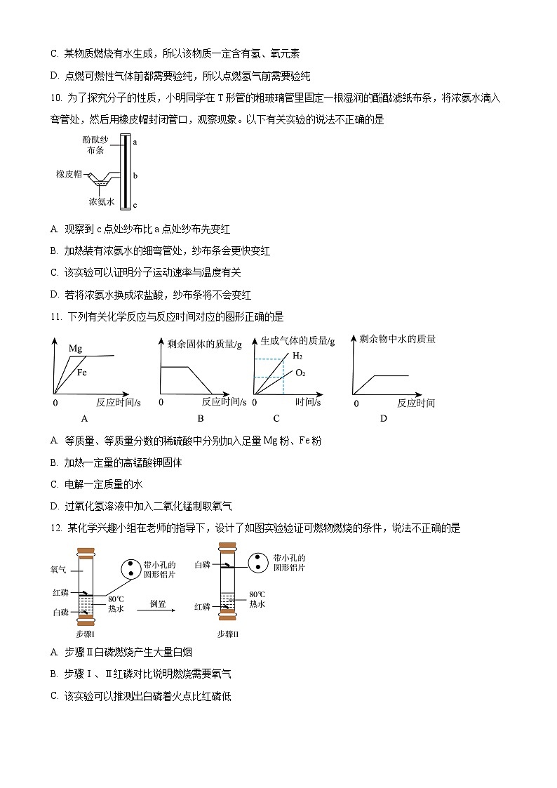 安徽省池州市贵池区2023-2024学年九年级下学期开学考试化学试题（原卷版+解析版）03