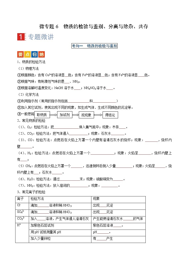 微专题6 物质的检验与鉴别、分离与除杂、共存-备战2024年中考化学一轮复习考点（人教版）01