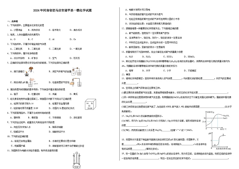 2024年河南省驻马店市遂平县一模化学试题01