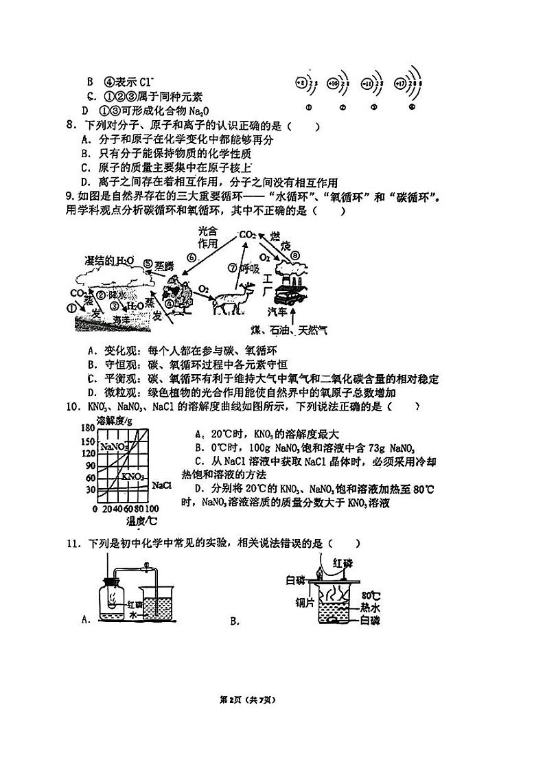 山东省淄博市张店区第九中学2023-2024学年九年级下学期3月月考化学试题第2页