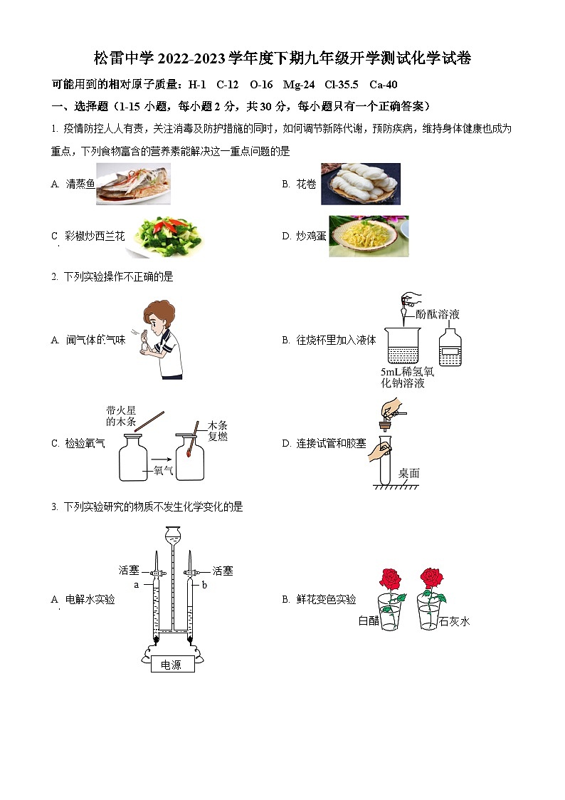 精品解析：黑龙江省哈尔滨市南岗区松雷中学2022-2023学年九年级上学期开学测试化学试卷（原卷版）第1页