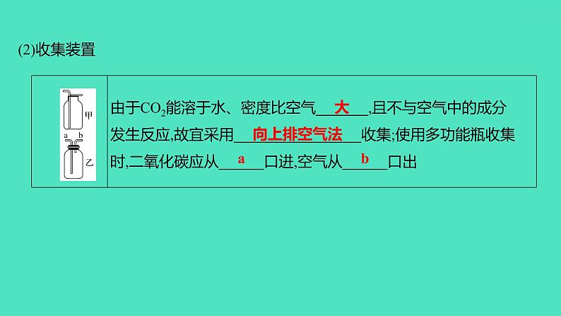 2024山东中考复习 人教版化学 基础知识复习 实验2　二氧化碳的实验室制取与性质 课件第3页