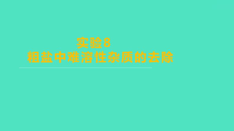 2024山东中考复习 人教版化学 基础知识复习 实验8　粗盐中难溶性杂质的去除 课件第1页