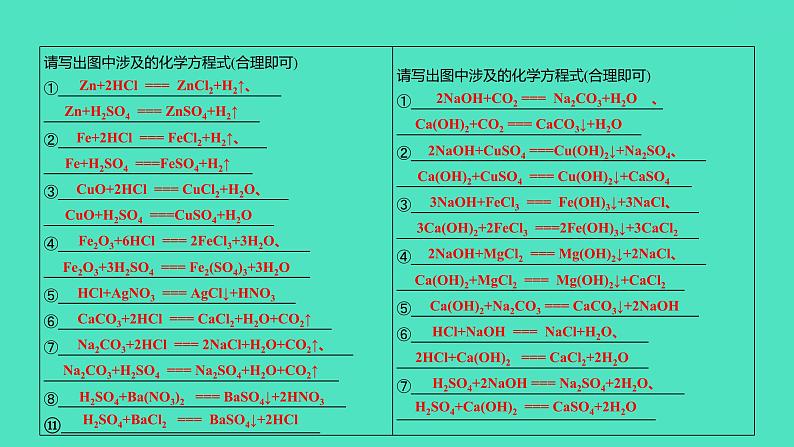 2024山东中考复习 人教版化学 考点研究 第三部分　第8讲　酸和碱 课件04