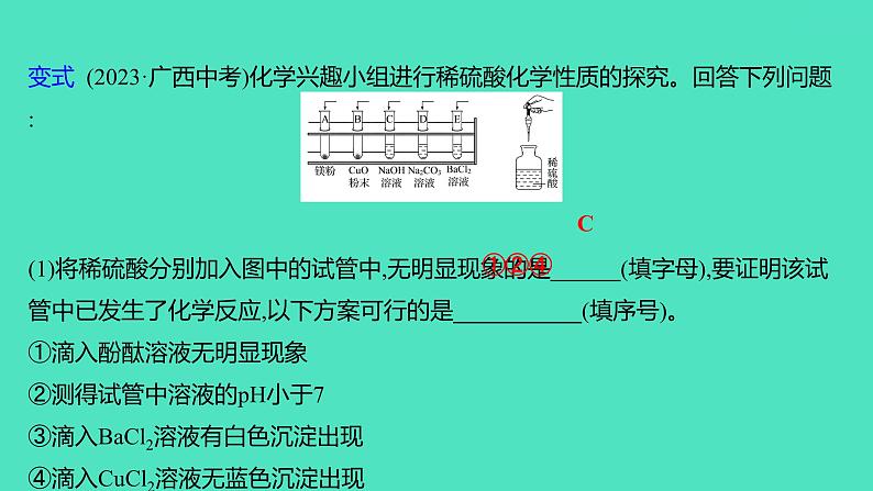 2024山东中考复习 人教版化学 考点研究 第三部分　第8讲　酸和碱 课件08