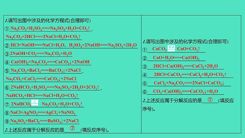 2024山东中考复习 人教版化学 考点研究 第三部分　第9讲　盐　化肥 课件04