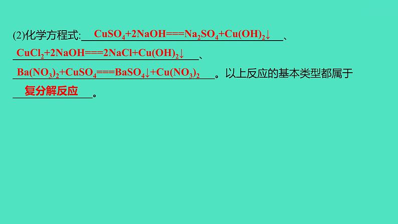 2024山东中考复习 人教版化学 考点研究 第三部分　第9讲　盐　化肥 课件07