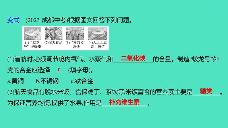 2024山东中考复习 人教版化学 考点研究 第四部分　化学物质与生活 课件08