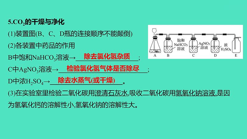 2024山东中考复习 人教版化学 考点研究 实验2　二氧化碳的实验室制取与性质 课件06