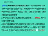 2024山东中考复习 人教版化学 题型突破 题型十二　跨学科实践活动 课件