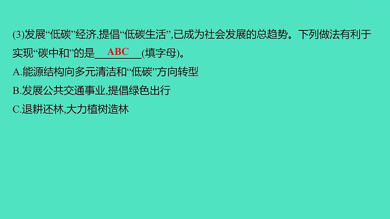 2024山东中考复习 人教版化学 题型突破 题型十二　跨学科实践活动 课件03