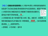 2024山东中考复习 人教版化学 题型突破 题型十二　跨学科实践活动 课件
