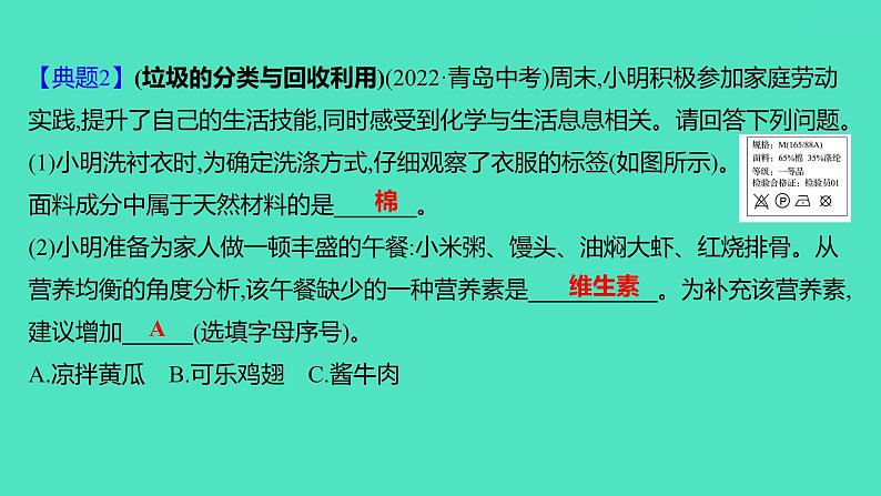 2024山东中考复习 人教版化学 题型突破 题型十二　跨学科实践活动 课件04