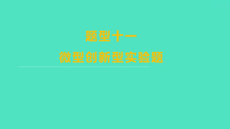 2024山东中考复习 人教版化学 题型突破 题型十一　微型创新型实验题 课件第1页