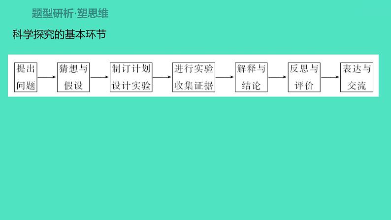 2024山东中考复习 人教版化学 题型突破 题型五　科学探究题 课件02