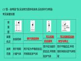 2024山东中考复习 人教版化学 考点研究 微专题2　气体的制取、检验与净化 课件