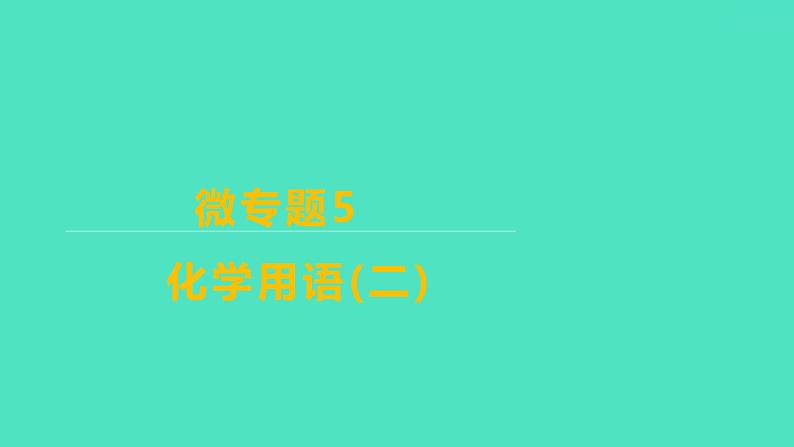 2024山东中考复习 人教版化学 考点研究 微专题5　化学用语(二) 课件01