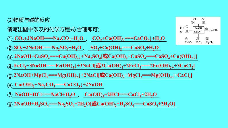 2024湖南中考复习 人教版化学 第十单元  第1课时　常见的酸和碱 课件04