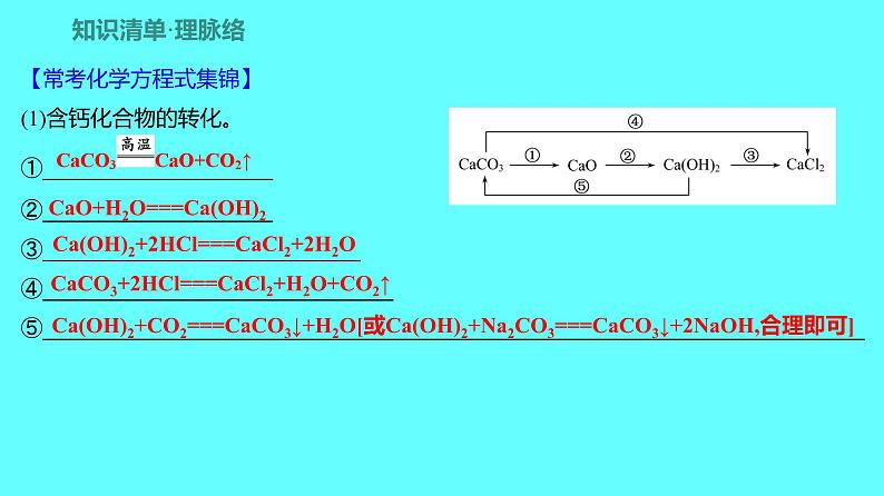 2024湖南中考复习 人教版化学 第十一单元　盐　化肥 课件02