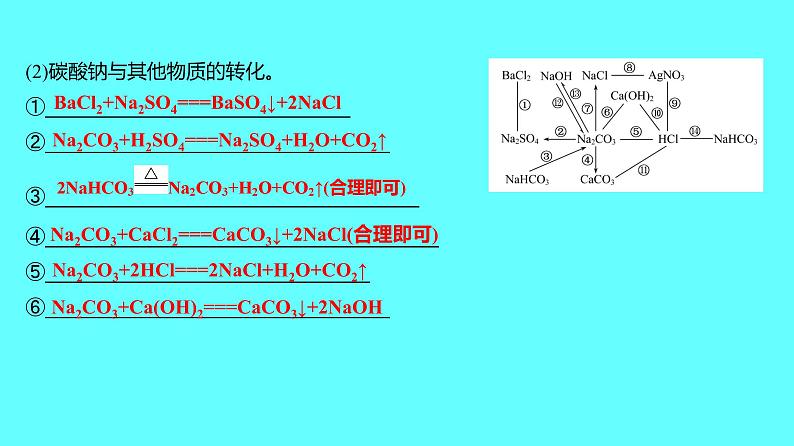 2024湖南中考复习 人教版化学 第十一单元　盐　化肥 课件03