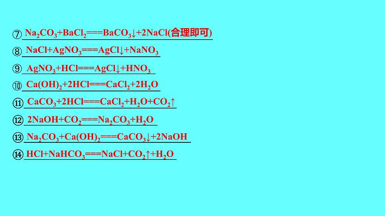 2024湖南中考复习 人教版化学 第十一单元　盐　化肥 课件04